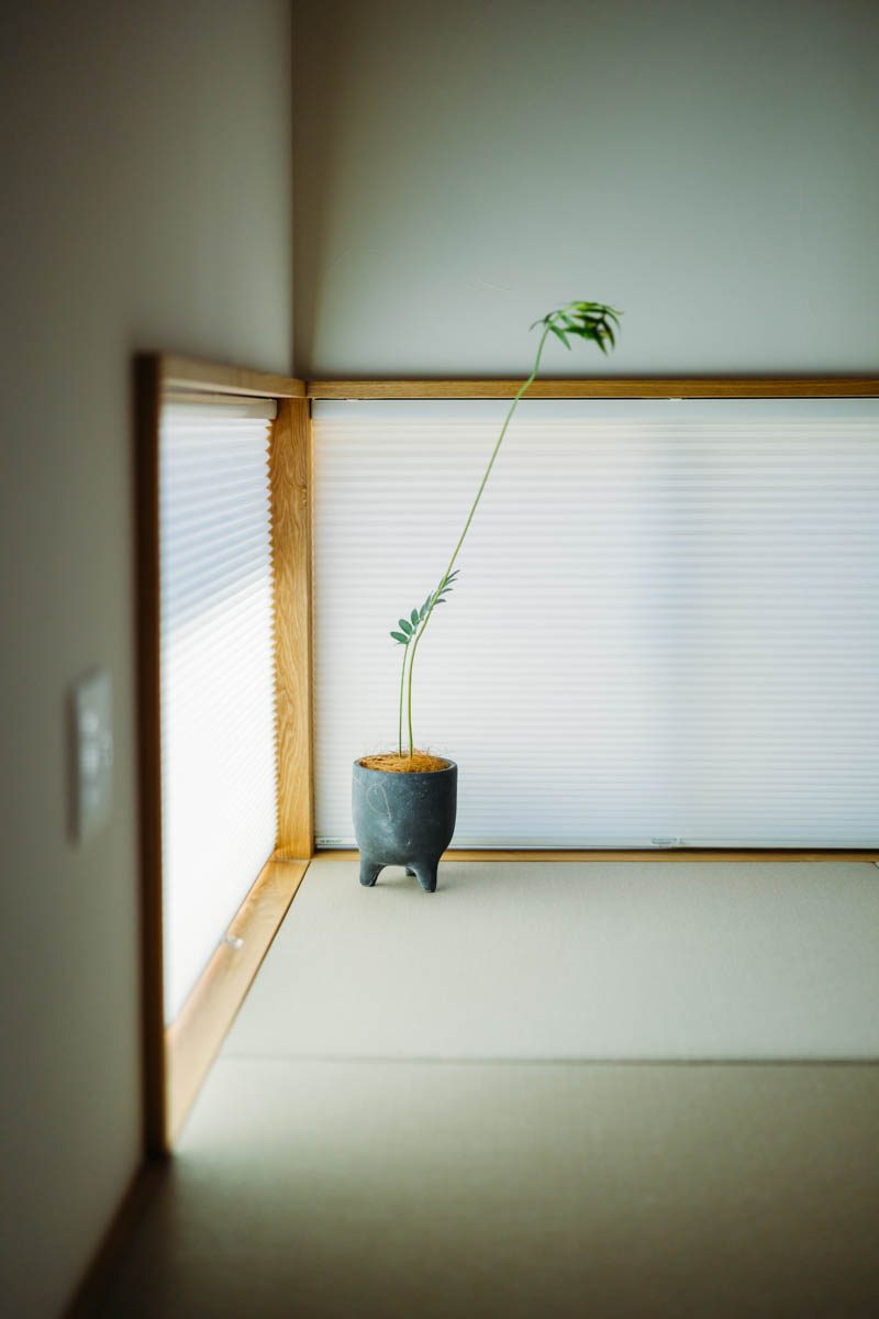 景色をきりとる