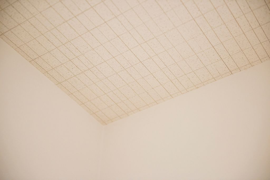 木の余白に暮らす